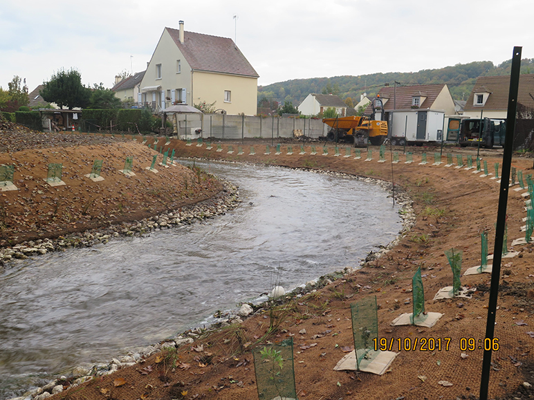 Plantations d'hélophytes et de baliveaux respectivement en bas et milieu de berges