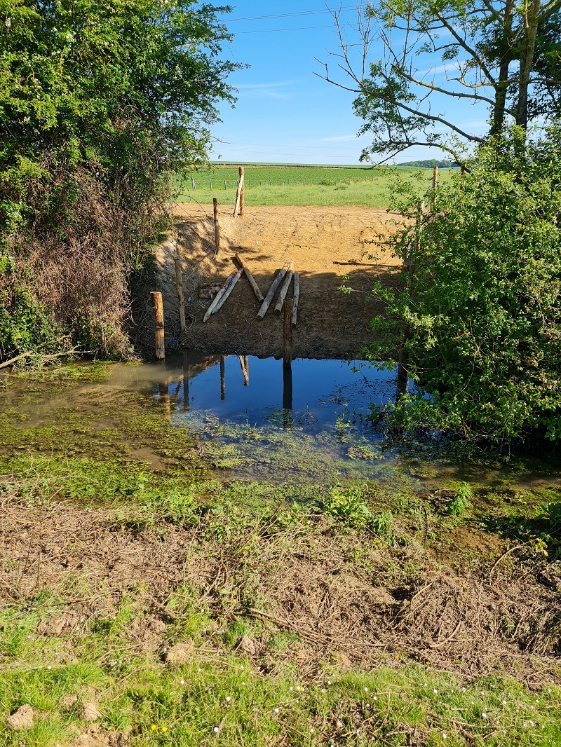 Terrassement abreuvoir