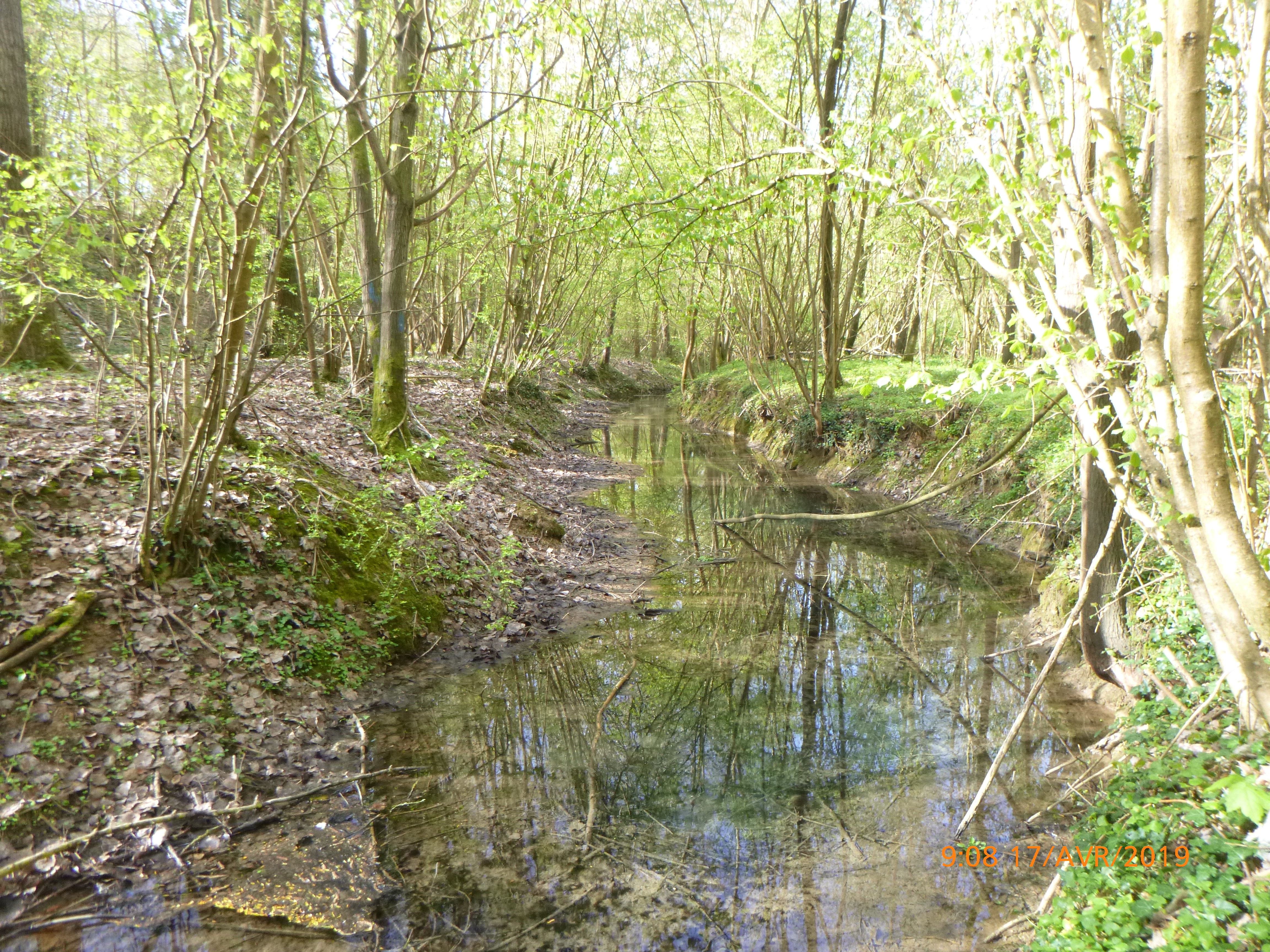 Source de la Béronnelle