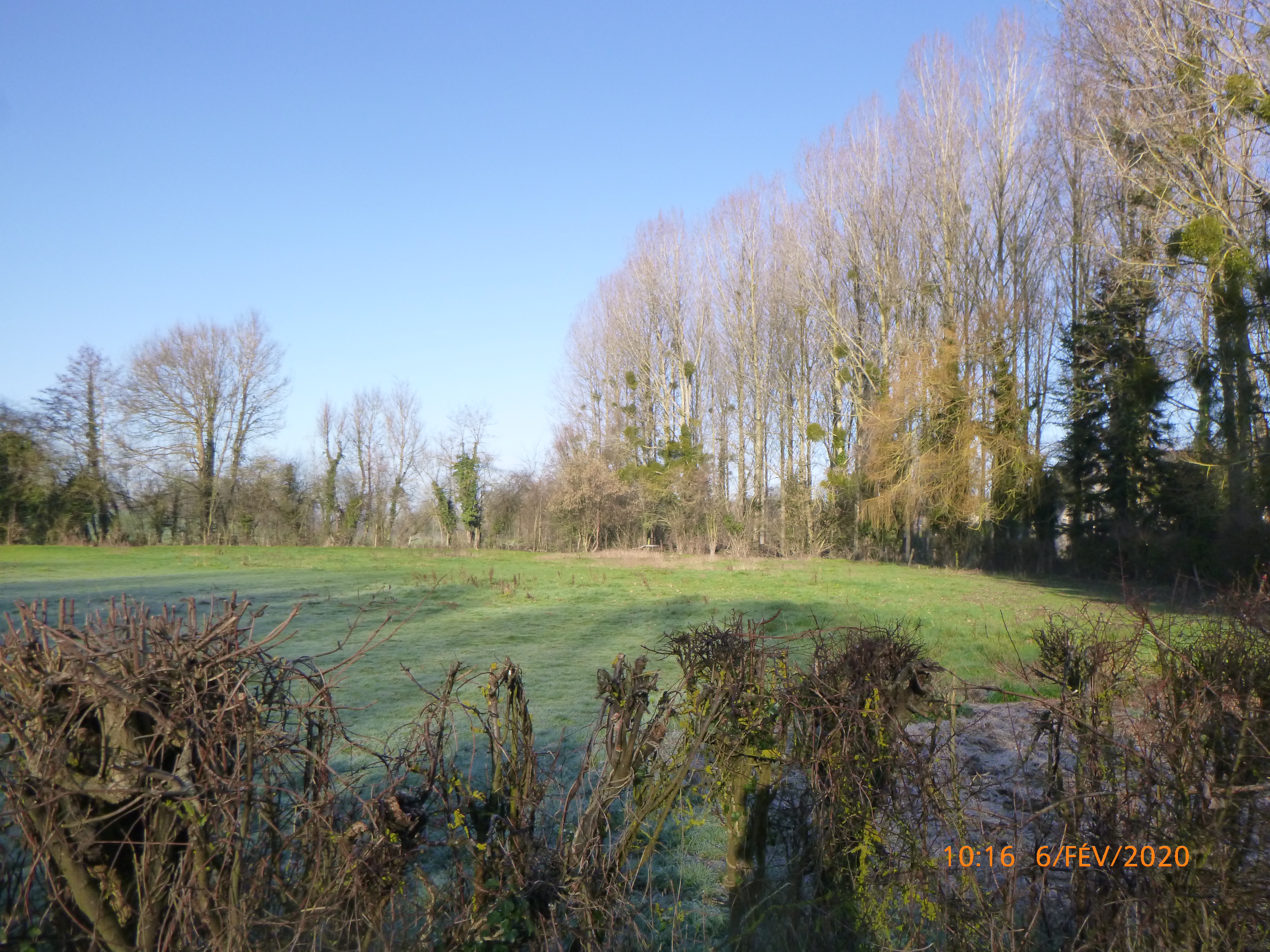 Prairie humide à Montreuil-sur-Brèche