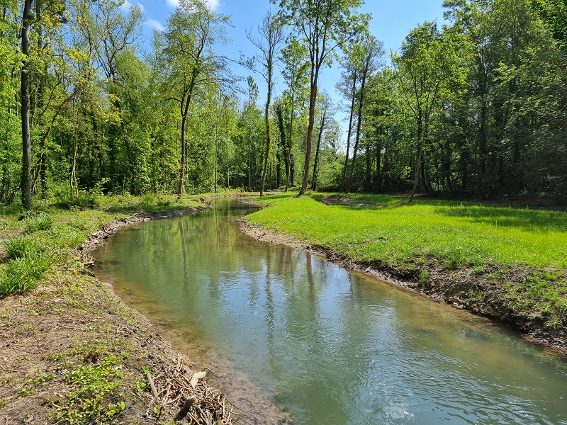 6 mois après travaux - vue depuis l'amont