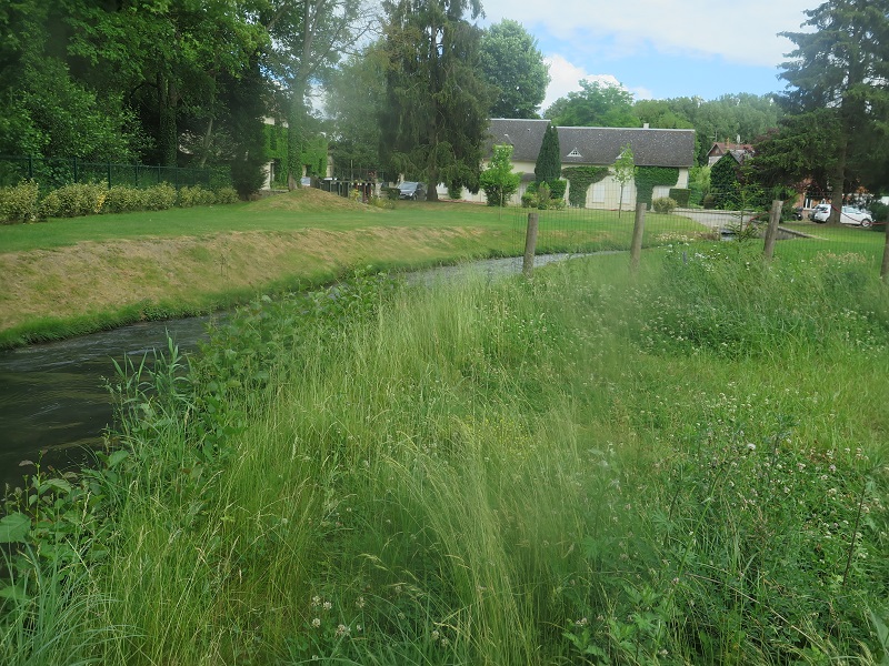 Site de l'ancien moulin - 2 ans après