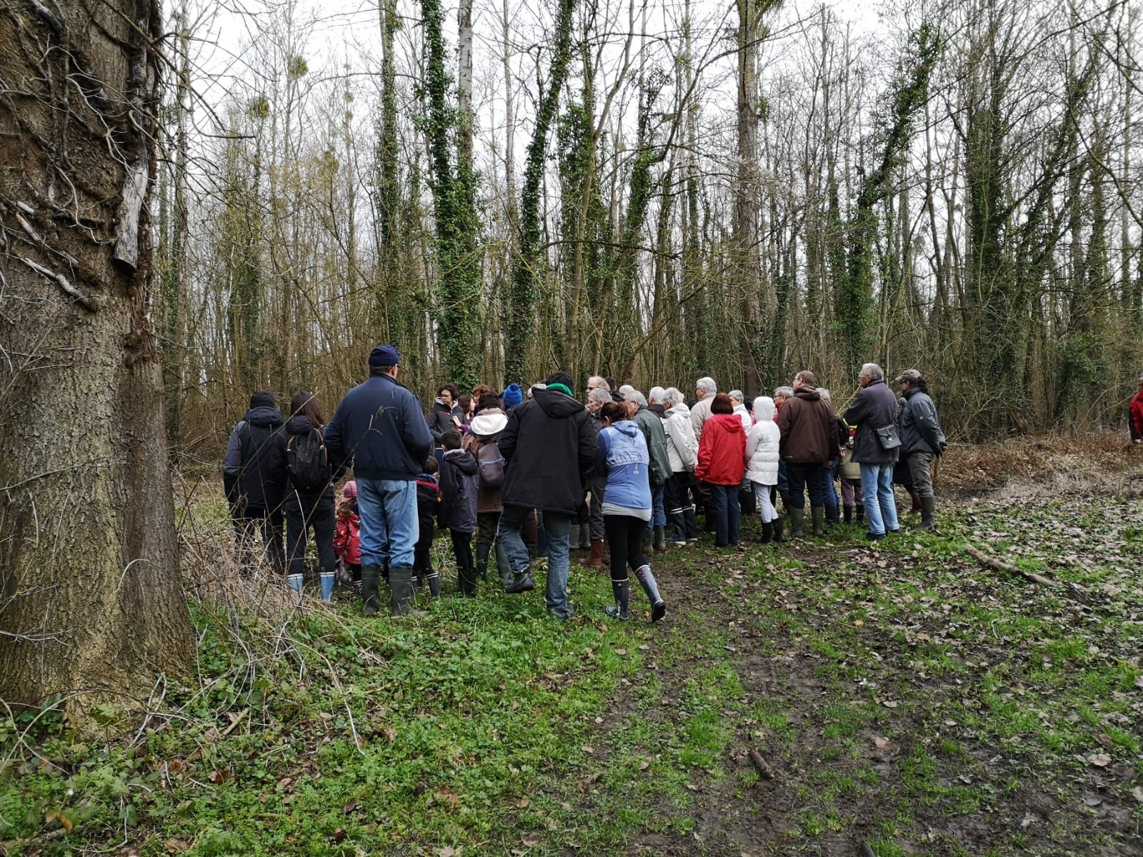 Visite du marais de Clermont le 8 février 2020