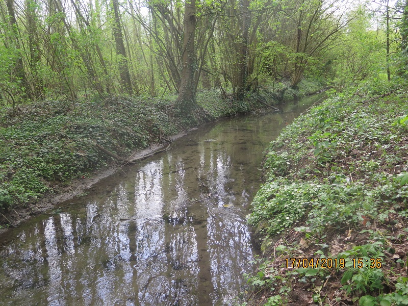 Béronnelle avant travaux