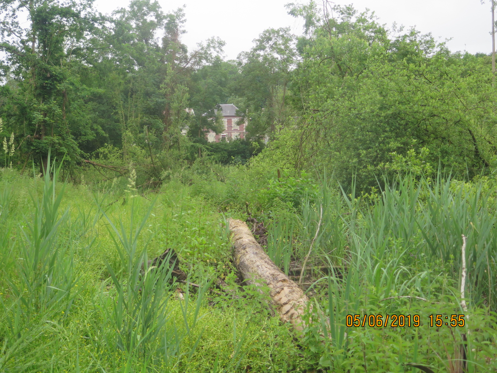 Marais de Clermont