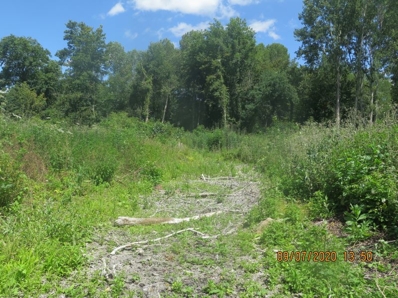 Méandre avant travaux