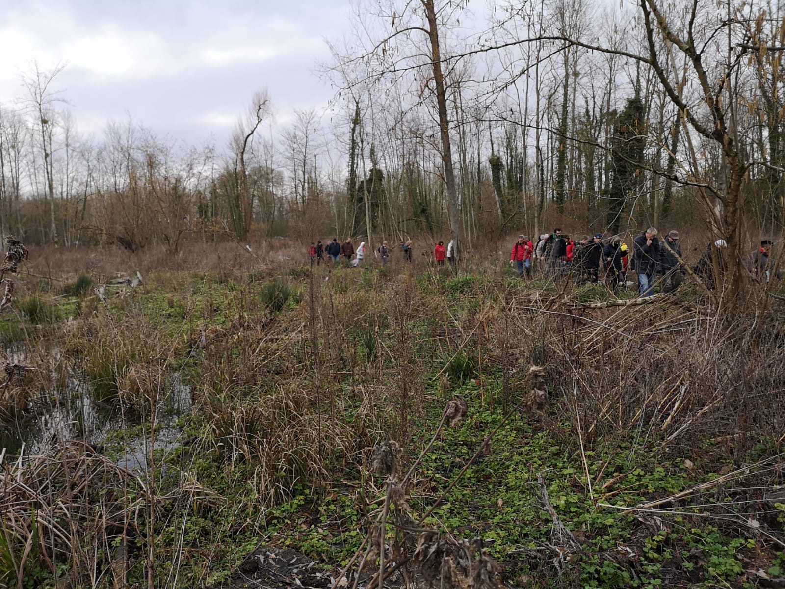 Visite du marais de Clermont le 8 février 2020