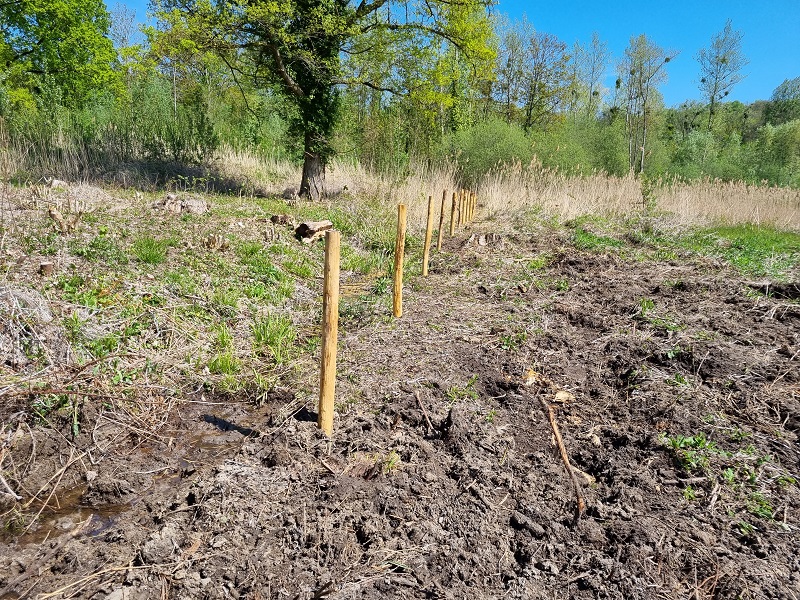 Piquets mis en place