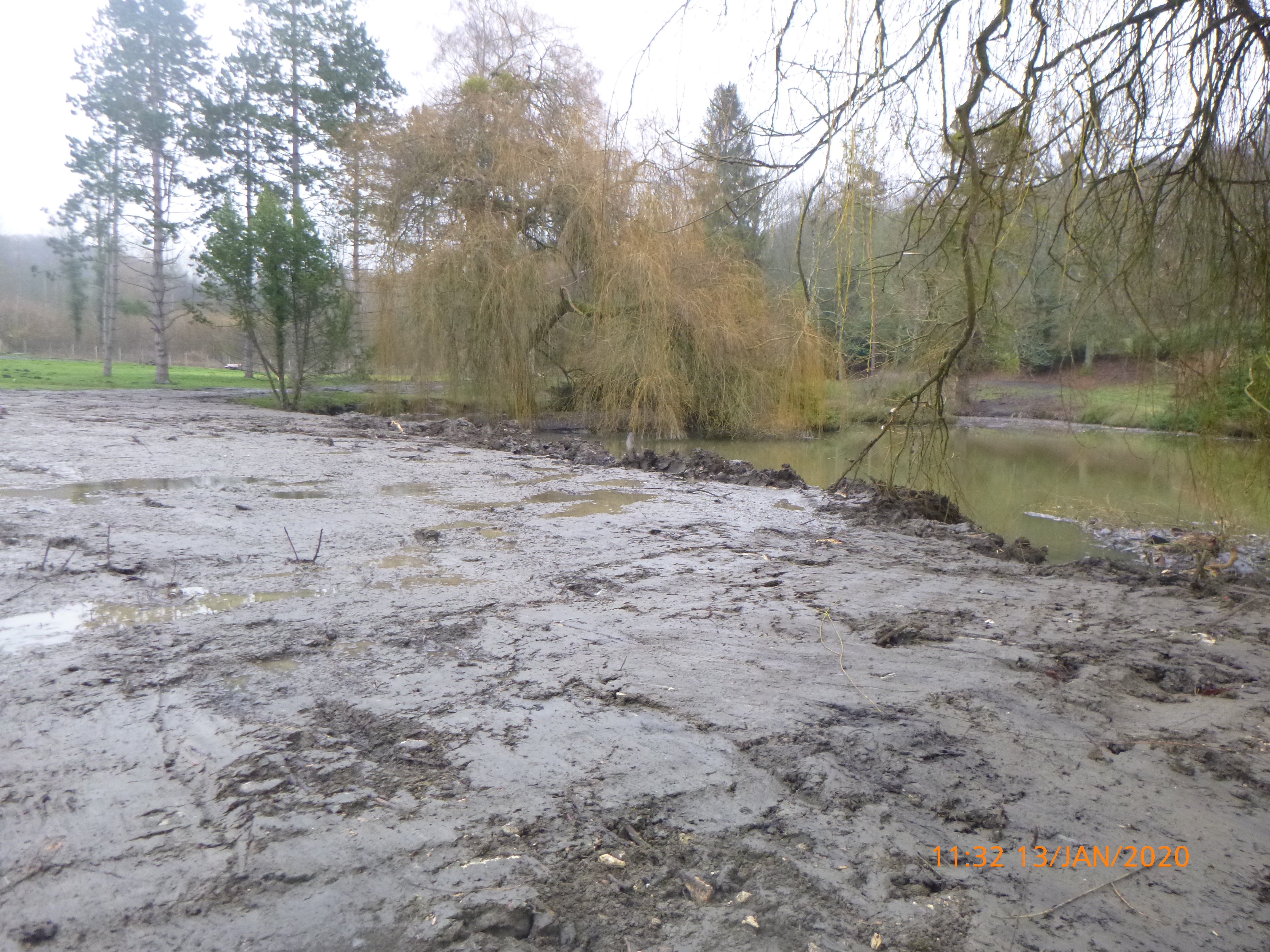 Comblement partiel de l'étang et restauration des berges