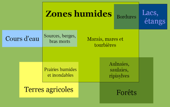 Définition des zones humides