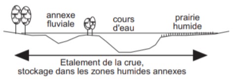 Fonctions hydrologiques