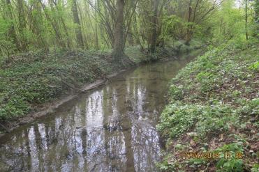 Béronnelle avant travaux