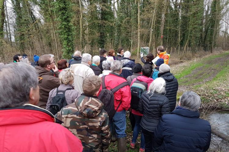 Visite du marais de Clermont le 8 février 2020